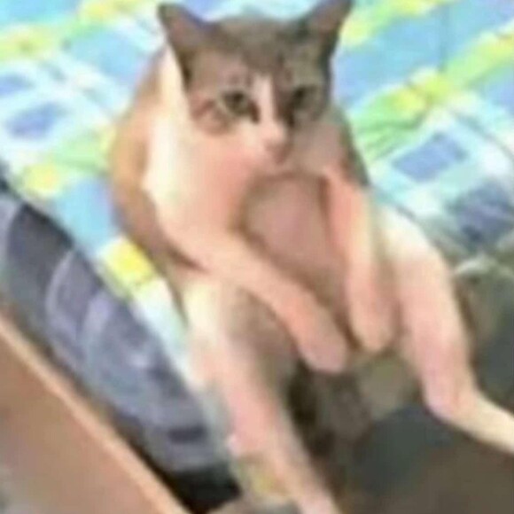 mema000
